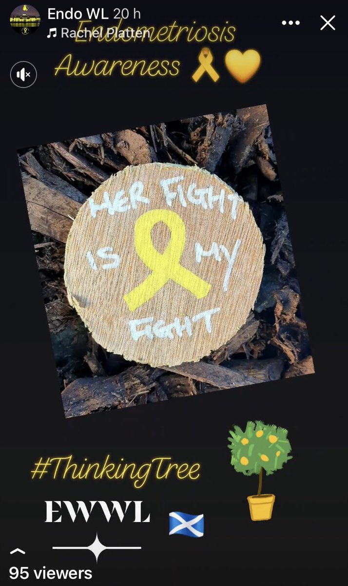 endowestlothian's tweet photo. “Her fight is my fight” 👇🏻👇🏻 what a beautiful message of support for a loved one 💛 placed at our thinking tree 🌳 #LightUpYellow #EndometriosisAwarenessMonth #thinkingtree @LoveWestLothian @exppect @dionnemcfx @scotswarrior84 @HowdenPark #endowarrior #endometriosis https://t.co/fOJcaWTqyN