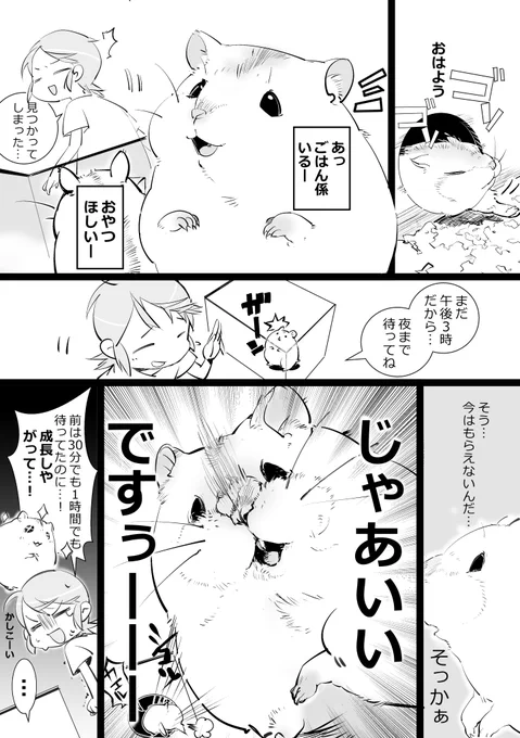 学習により早々の見切りをつけるようになるハムスター
#ハムスター漫画 