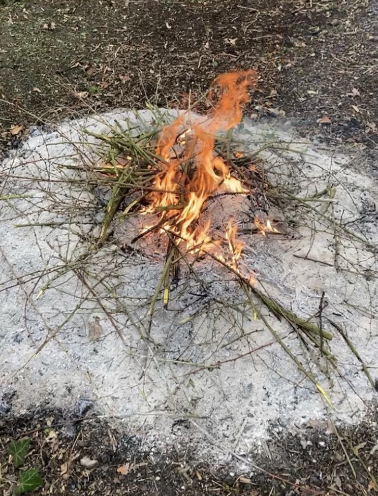 Fiona Blakemore tweet media