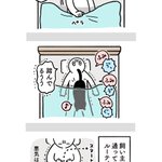 共感だらけ？ねこに翻弄されつつもたのしい日常の絵日記!