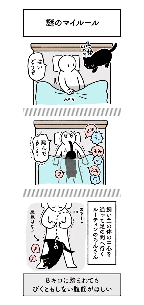 共感だらけ？ねこに翻弄されつつもたのしい日常の絵日記！