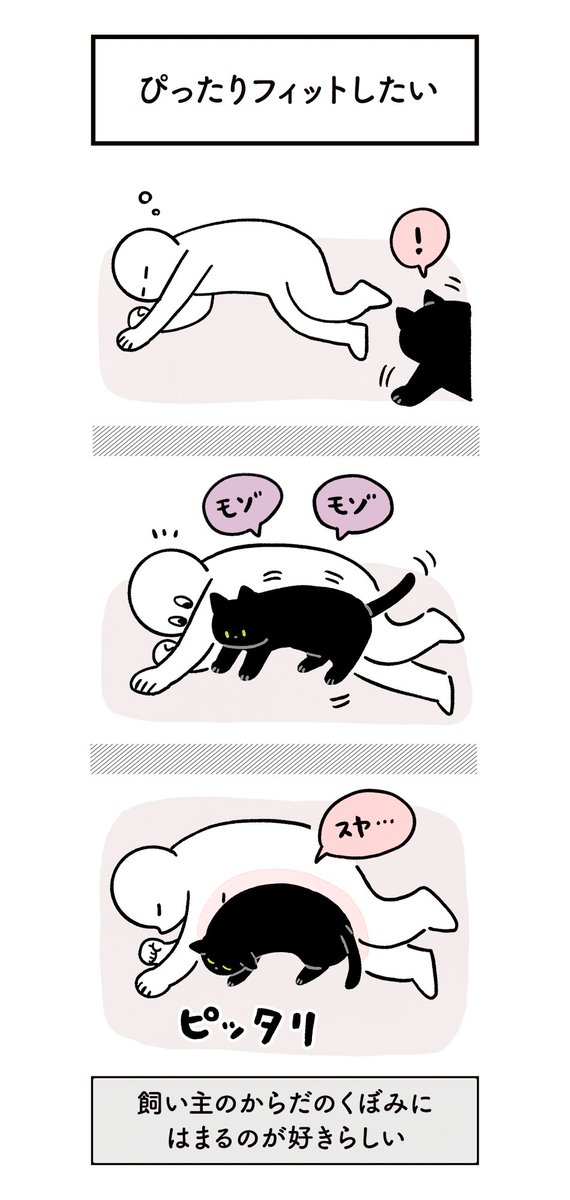 ねこに翻弄されつつもたのしい日常の絵日記(4まいある) #ろんの絵日記 