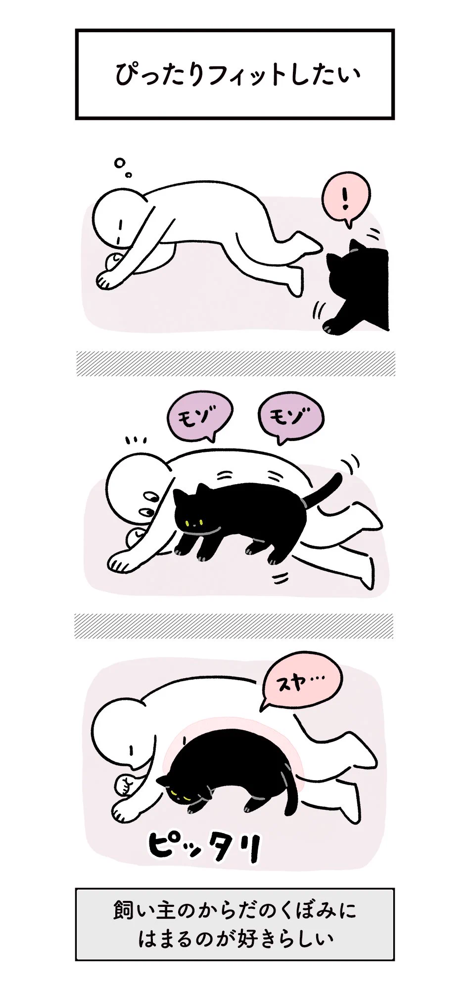 共感だらけ？ねこに翻弄されつつもたのしい日常の絵日記！