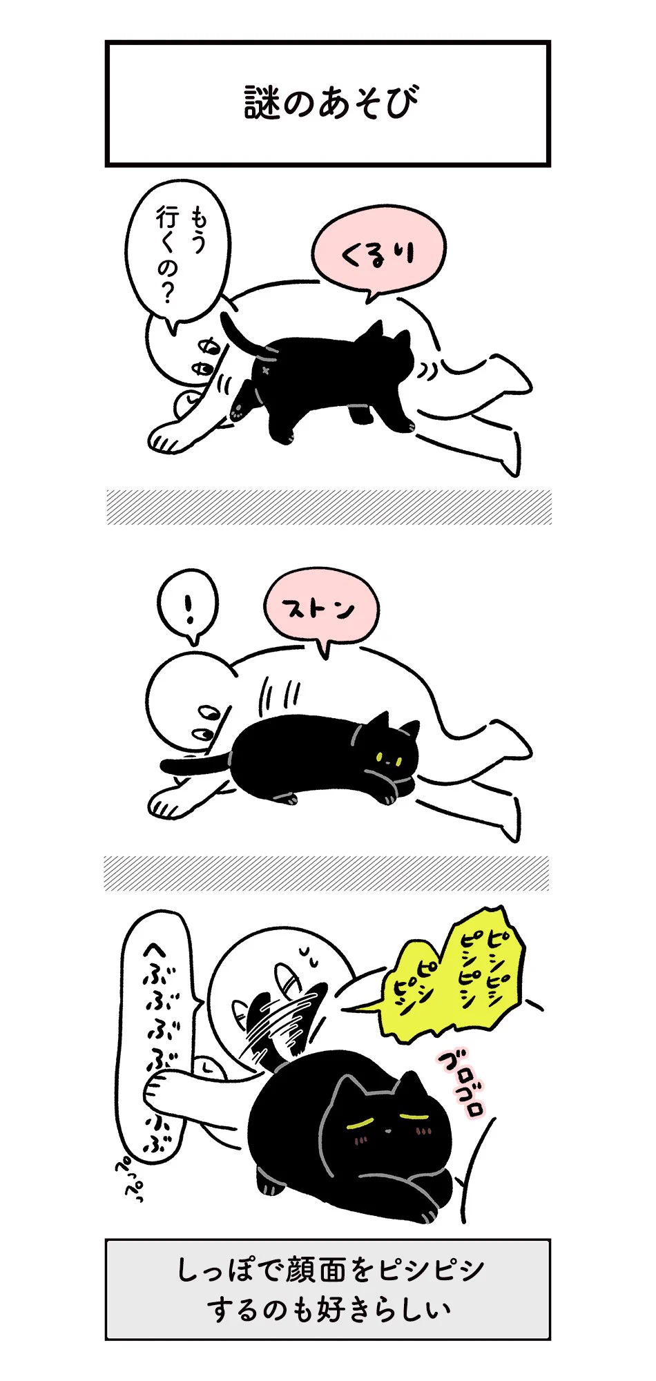 共感だらけ？ねこに翻弄されつつもたのしい日常の絵日記！