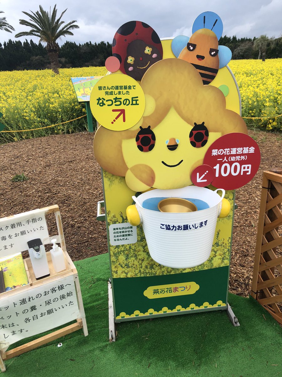 MASKs_fairy's tweet photo. 渥美半島の菜の花畑です♪
天気はあいにくでしたが
満開でとてもきれいでした(｀・∀・´)

ぼっち。菜の花。。でした。。笑
サムの春はいつ訪れるのでしょう。 https://t.co/AN3j4edZhy