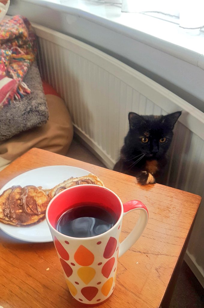 jobellerina's tweet photo. Just because you're not looking in my direction, doesn't mean I can't see your stalking of my pancakes, little Madam.
#Caturday #CatsOfTwitter #cats #HeyCookie https://t.co/xXj0CZLxLB