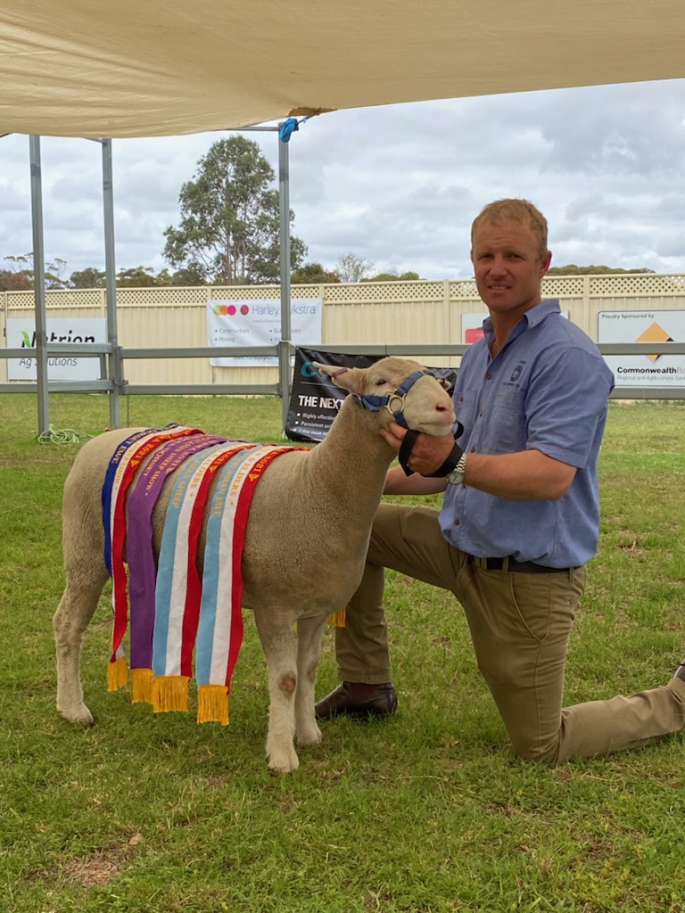 TimShep05's tweet image. Great day at Wagin Woolarama, Supreme Champion B&amp;amp;A Sheep Leween Poll Dorsets