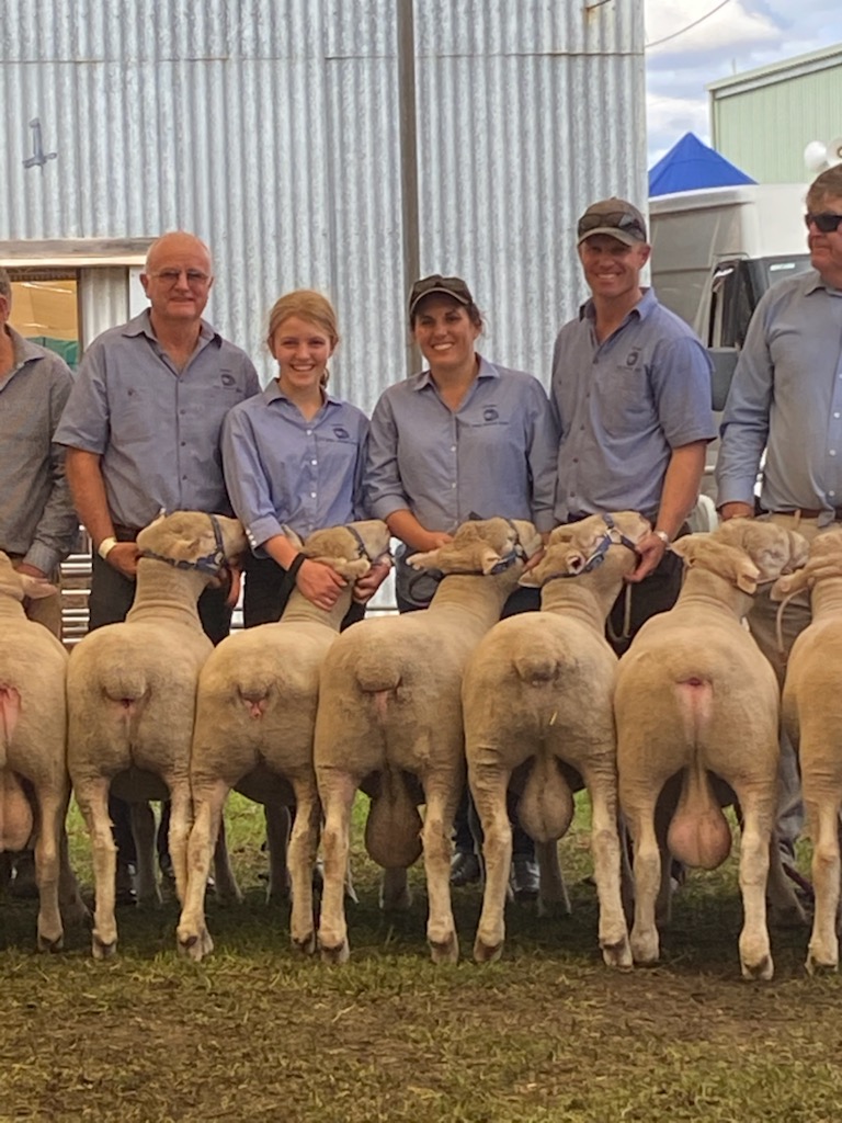 TimShep05's tweet image. Great day at Wagin Woolarama, Supreme Champion B&amp;amp;A Sheep Leween Poll Dorsets