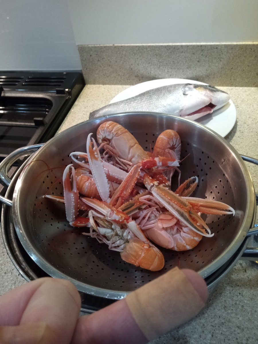 Patrick Devlin tweet media