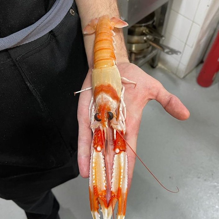 Pero qué buenas estas cigalas que han llegado hoy para nuestro arroz! No se lo pierdan mañana que aún tenemos unas cuantas y están espectaculares 😋🦞🦞🦞
.
.
.
Reservas 649446120 o en el perfil
.
.
#foodie #SevillaHoy #foodporn #cocina #tdsgastro #cigalas #sevilla #producto