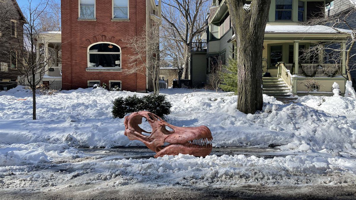 Chicago Field Museum Director Uses Titanosaur Skull To Hold Parking Space In Snow bit.ly/3sXtq3w