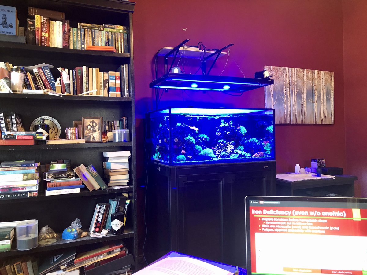 Kurt Pfeifer (@kurtpfeifer) on Twitter photo Enjoying a great talk on anemia from <a href="/BobbieJeanSwei1/">DrBobbieJean Sweitzer</a>. Wish we could all be together someplace warm. For now I just have an aquarium to pretend I’m by the ocean. Already excited for the 2022 <a href="/PeriopSummit/">PeriopSummit</a> in March 2022 in San Diego! #Periop2021 <a href="/SPAQIedu/">SPAQI</a> Enjoying a great talk on anemia from <a href="/BobbieJeanSwei1/">DrBobbieJean Sweitzer</a>. Wish we could all be together someplace warm. For now I just have an aquarium to pretend I’m by the ocean. Already excited for the 2022 <a href="/PeriopSummit/">PeriopSummit</a> in March 2022 in San Diego! #Periop2021 <a href="/SPAQIedu/">SPAQI</a>