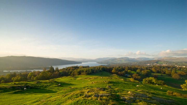 CumbriaUni's tweet image. Our Centre for National Parks and Protected Areas work closely with the local community on a number of projects. Tackling issues from climate smart forestry to how bugs and veggies can improve our land. 

Read more:  ow.ly/zByS50DQYMK 

#cumbriauni #BSW21 #studyscience