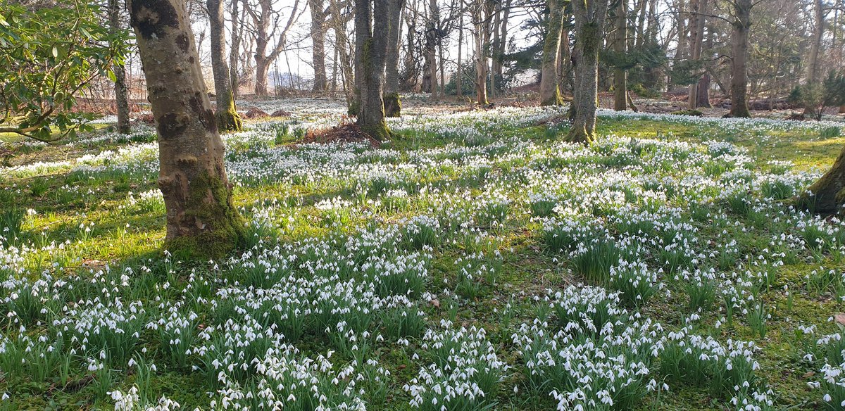 Amanda Bell tweet media