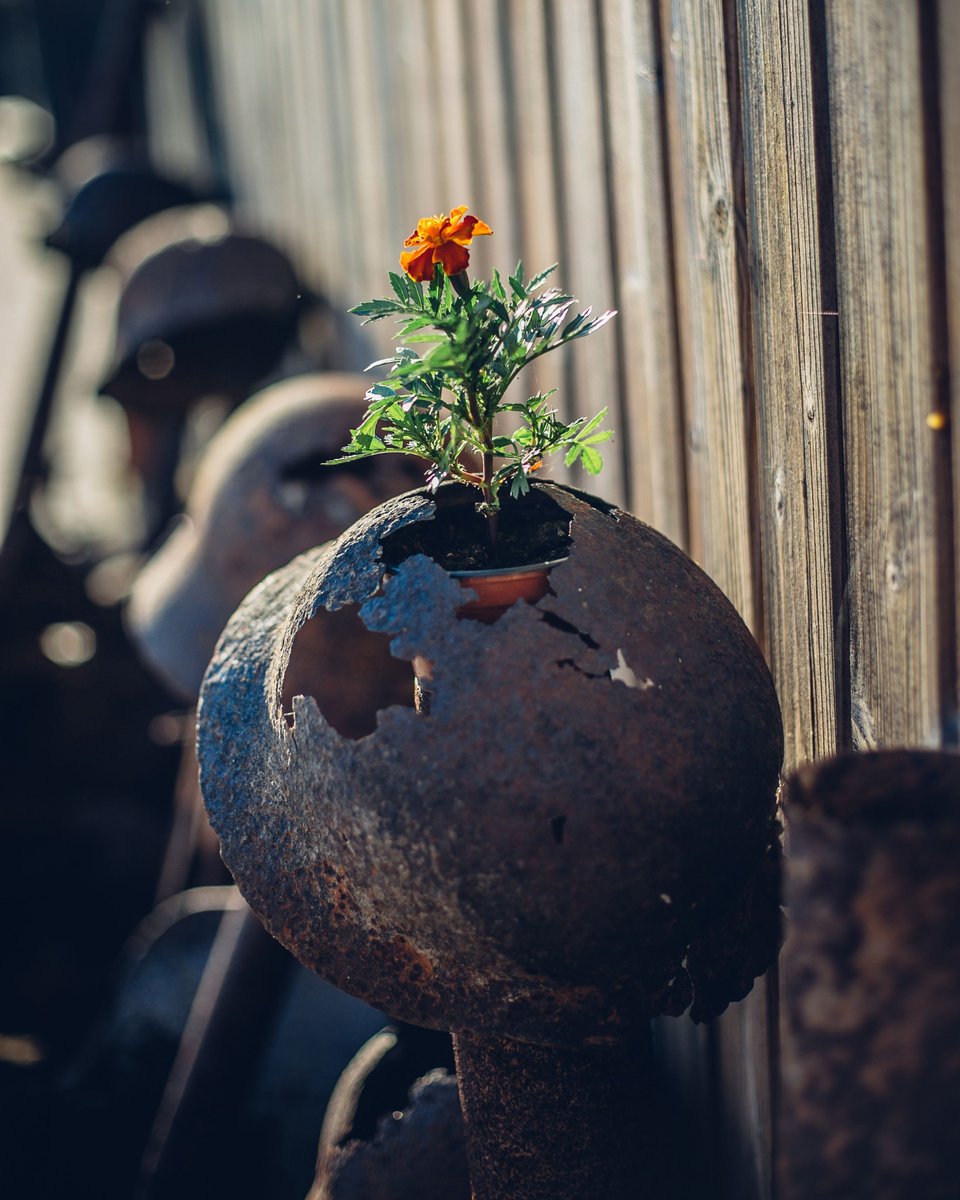 VetPathwaysHome's tweet image. The alarming increase in suicides is a call to action.

Our Military deserves to combat personal demons for their sacrifices. Learn more about our Peer-to-Peer services. Take a kind moment during these stressful times to be regardful for our disabled and distressed troops.