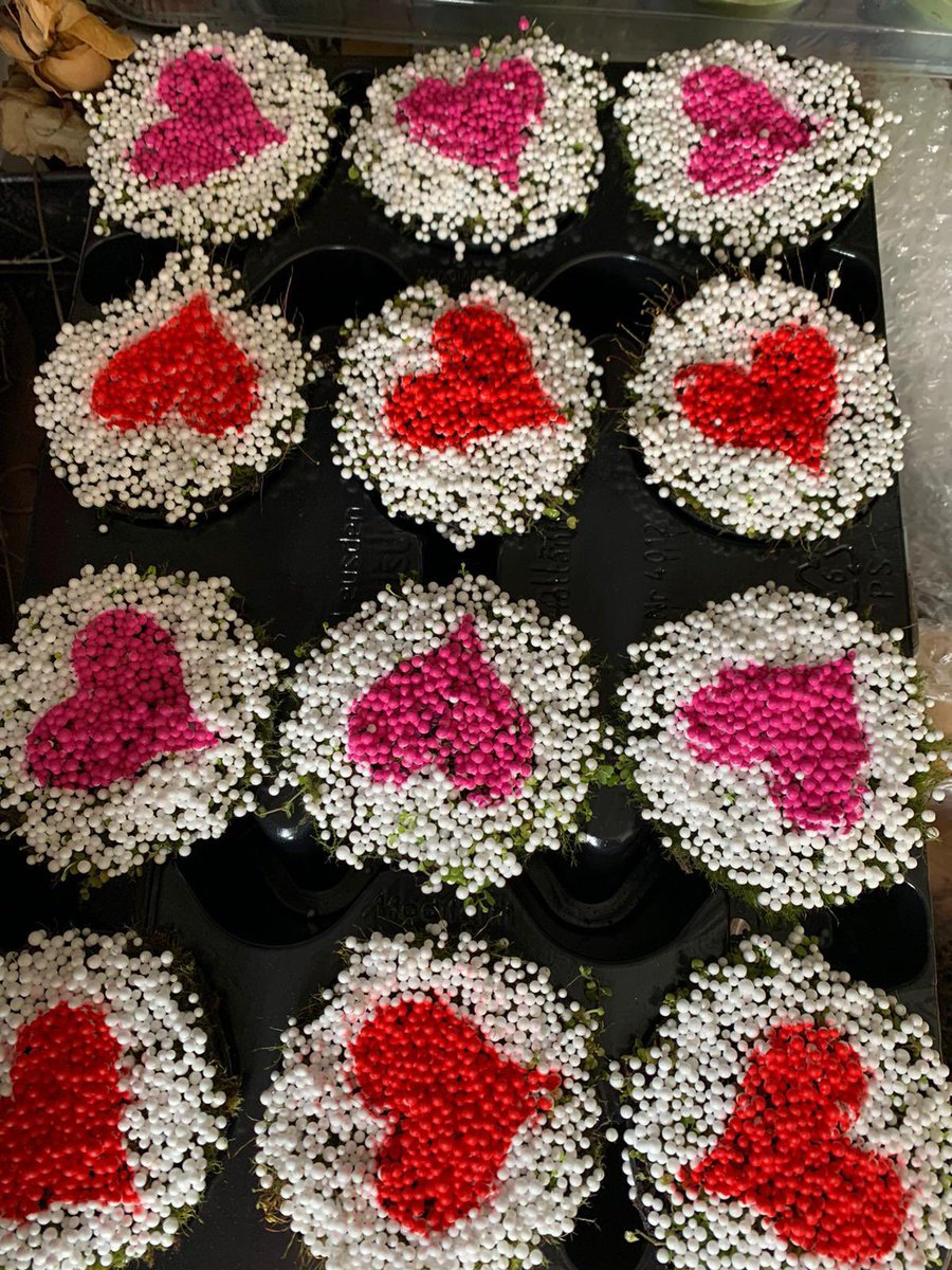 Fordham Parents, Teachers & Friends Association tweet media