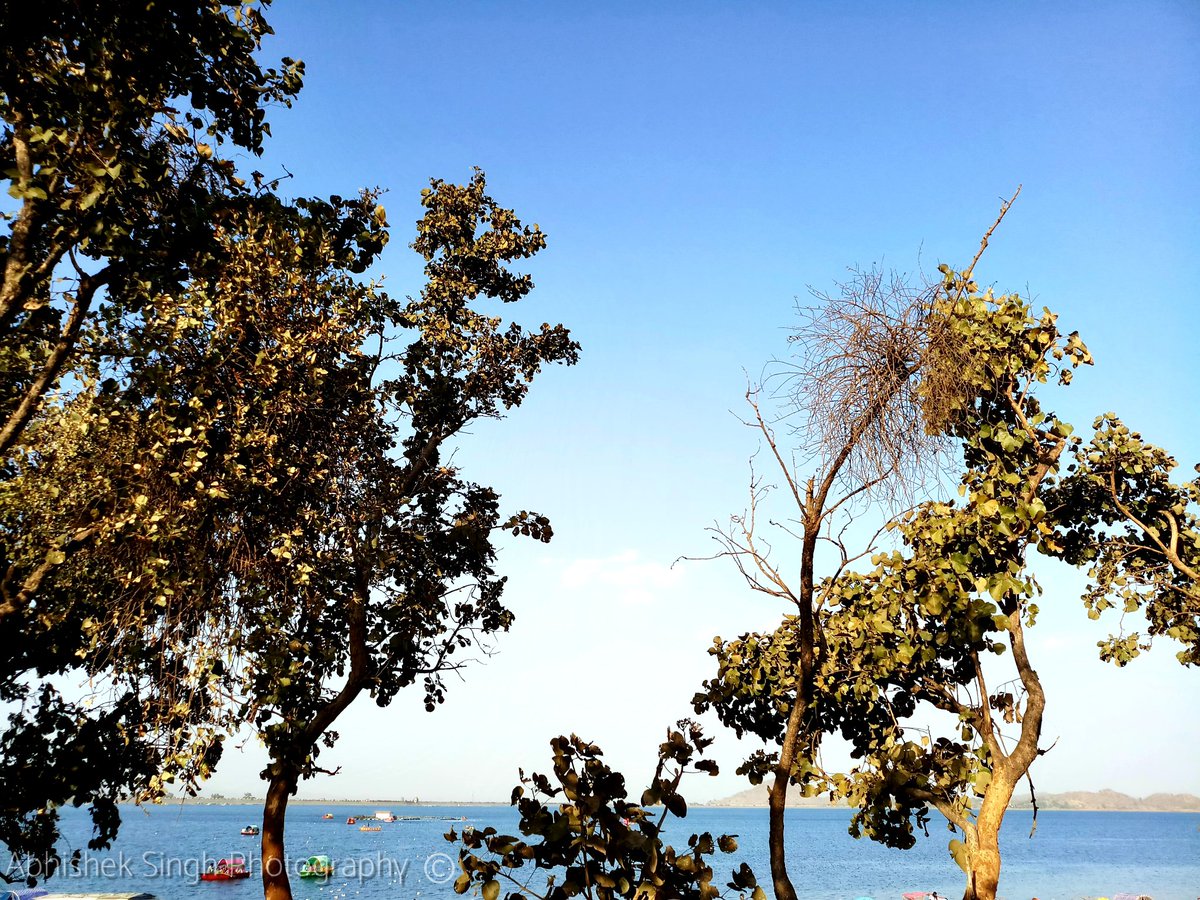 i_abhisheks's tweet photo. Prestine #Patratu reservoir
@Piclogy @ThePhotoHour @WNpix @incredibleindia @tourismgoi @VisitJharkhand
#EyeAbhishekPhotography #DukeClicks #IncredibleIndia #ThePhotoHour #photography #naturephotography #naturelovers #nature #colorful #PhotoOfTheDay #preciouswater #unexplored https://t.co/EwbVTWdtjp