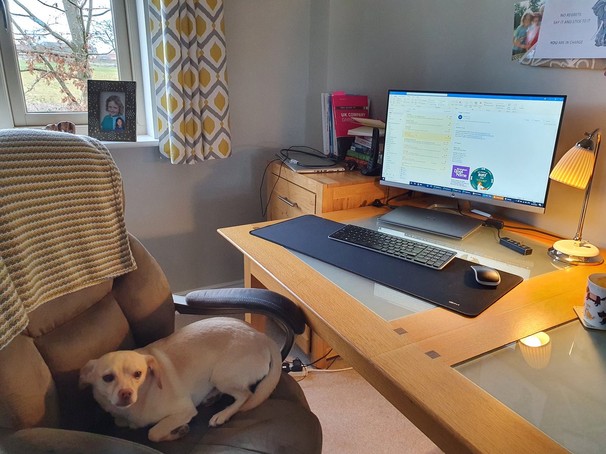 Fi Harrison tweet media