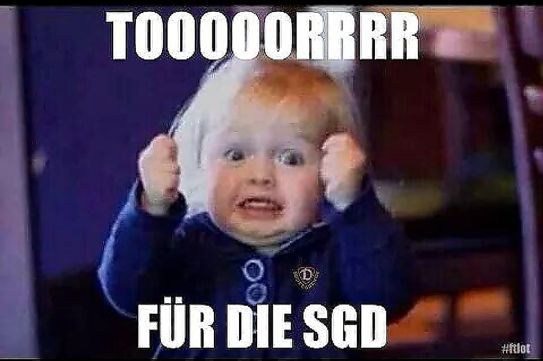 FreitalonTour's tweet image. Booommm..das 0:1 durch Chris Daferner #sgd1953 #ftlot #svmsgd