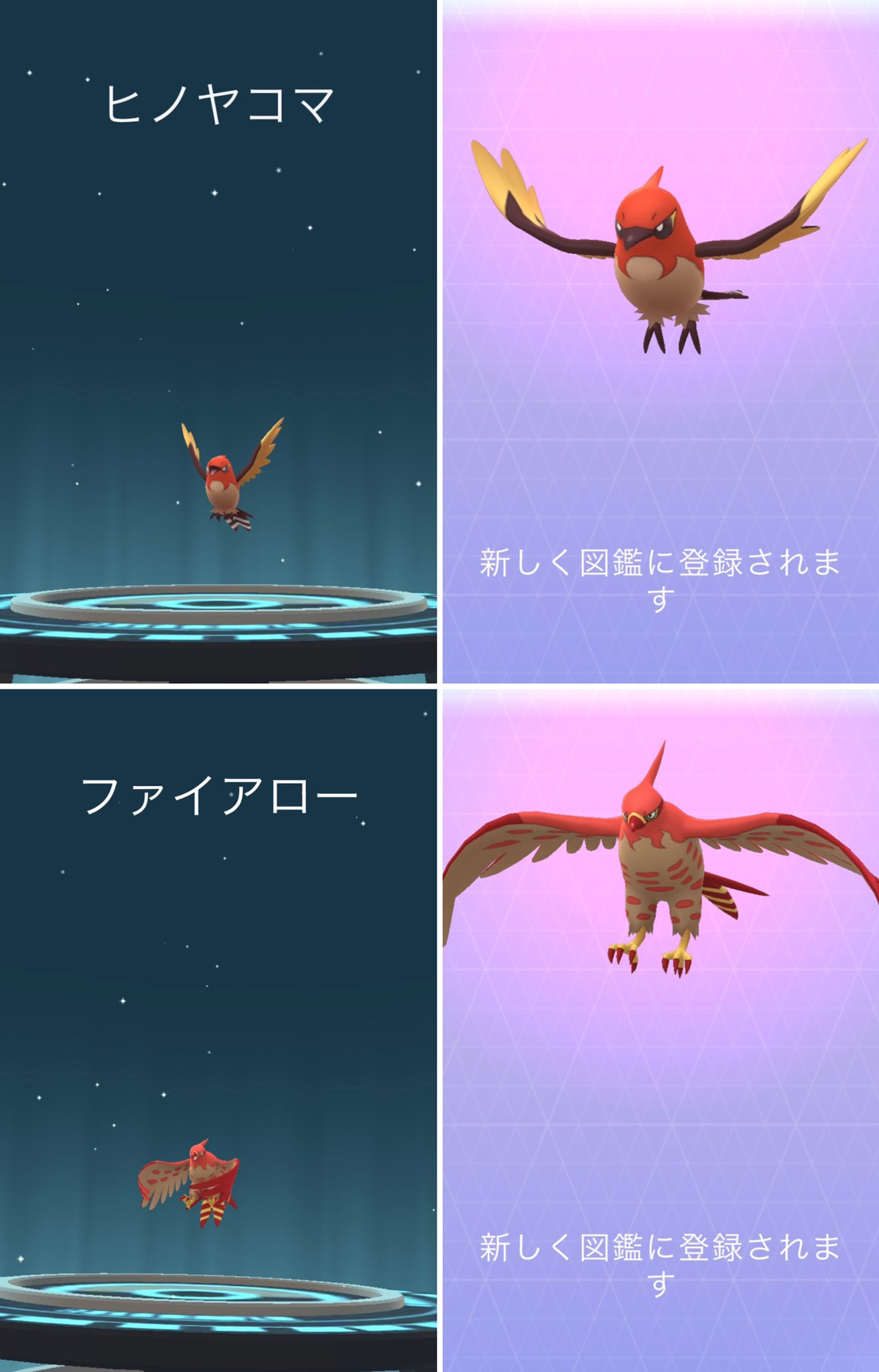 Kpoke ヤヤコマのコミュデイは色違い10匹 フレンドさんと交換もしてもらったけど個体値maxはgetならず とりあえず色違い1匹と通常色何匹か進化させた やきつくす覚えさせたぞ Pokemongo ポケモンgo コミュニティデイ 色違い 初get