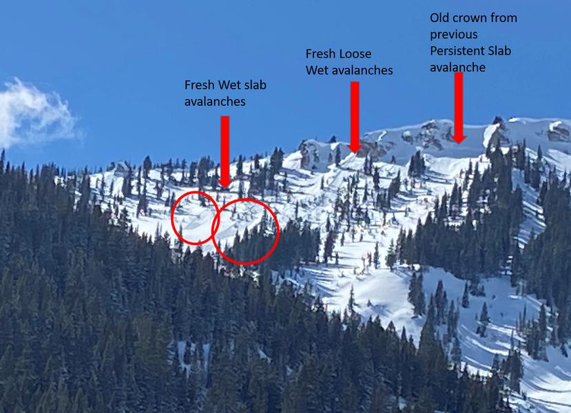 COAvalancheInfo's tweet photo. #CAICAspen MOD(2of5) You can trigger loose snow avalanches as temperatures warm today. Watch for rollerballs and wet snow as signs of rising danger and move to colder slopes. Persistent slab avalanches still linger. https://t.co/U7zqU6dXUk
#COAvyObs https://t.co/Hs0uxMYgdQ