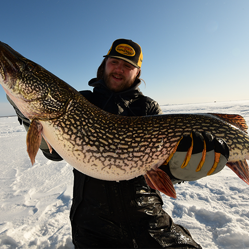 WFN's tweet image. No matter what you target or where you fish, your hands take a beating from the sun, elements and fish, so protect them with @FishMonkeyGear. See the new lineup tonight during the #ICAST New Gear Guide at 6 PM EST on Outdoor Channel and Sportsman Channel.

#fishing #FishMonkey