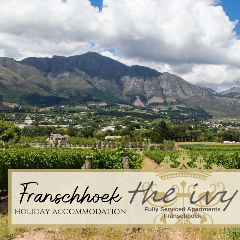 Weekends are for wandering. Get out there... explore the beautiful village on our doorstep. Chat to our friendly team about local attractions in and around Franschhoek. 

#spaciousapartments #stunningviews #franschhoek #capewinelands #selfcatering