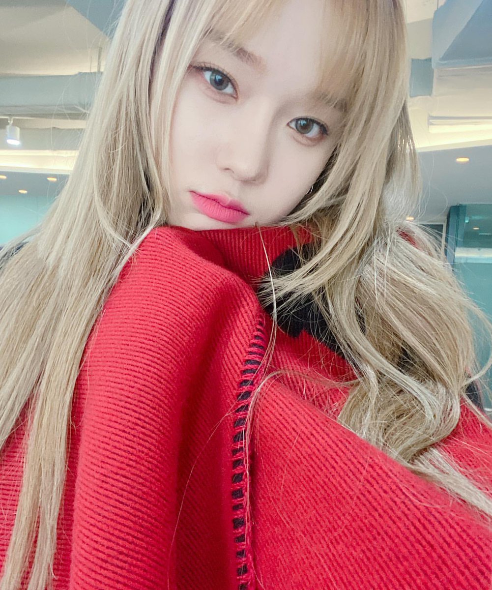 Chan tweet media