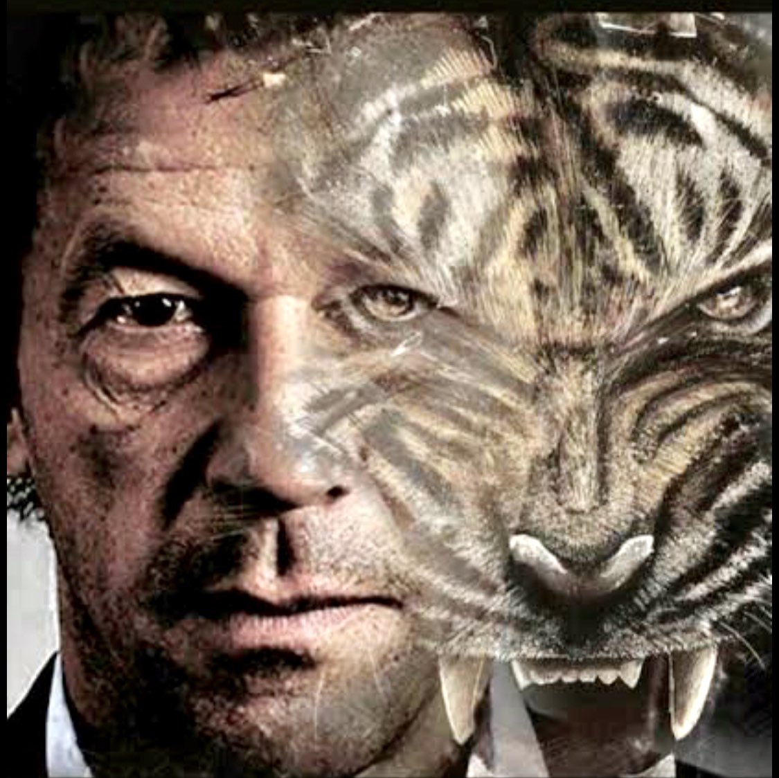 RomanSh83730746's tweet photo. The Tiger Roars Again. Congratulations Skipper👏👏👏#VoteOfConfidence @ImranKhanPTI https://t.co/sdi7eXO092