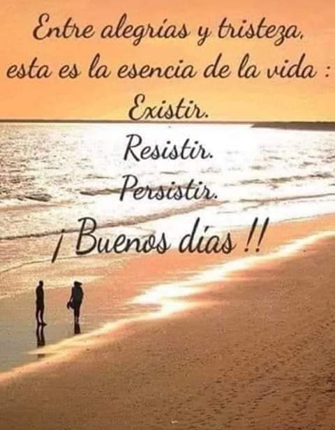 Me llaman Rouss tweet media