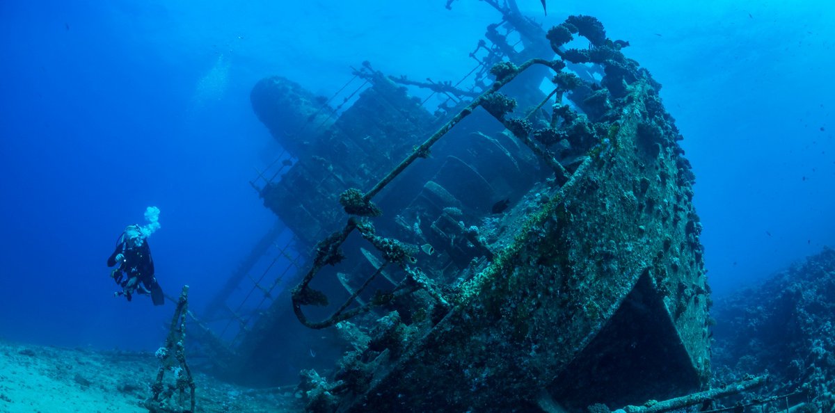 Newsletter - mailchi.mp/b5672a7a924c/n…