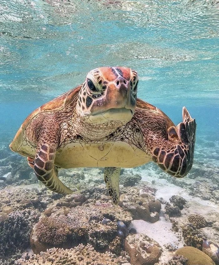 AylunWoW's tweet photo. Moi : *organise une aprem a la maison toute seule pour avoir du temps pour moi au calme*

Mon voisin et sa perceuse : https://t.co/n91hnbx63D