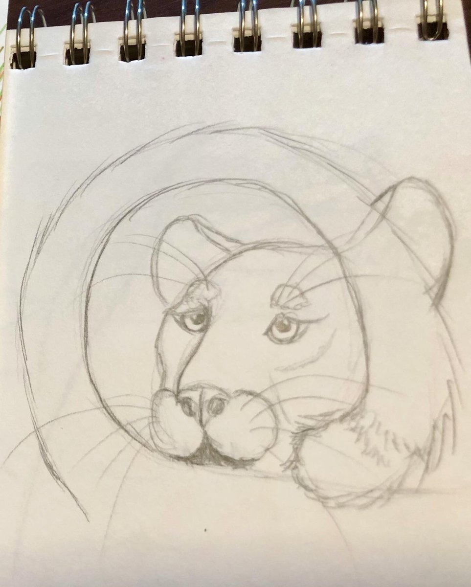 Nat3ssa_Art's tweet image. Ref @jonpwightman 
@getsketchbox 
#sketchbox #sketchboxmarch #leopard #copicmarkers #copic #markers #alchoholmarkers