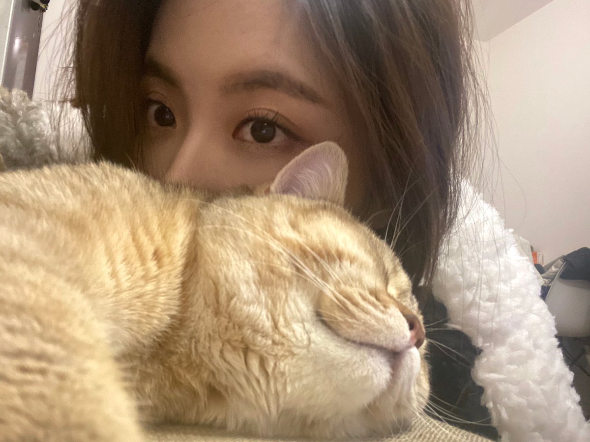 yixieforever's tweet image. [TRANS] Yijin Weibo 

#SpringLimited# #StarEnjoyABit# Everyone has cats 

===

Cute kitty kitty kitty cute 

#wangyijin #yijin 
#BonBonGirls303 #硬糖少女303