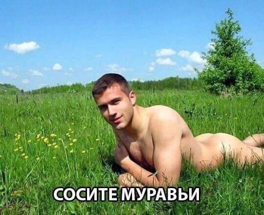 leaf_rf tweet picture