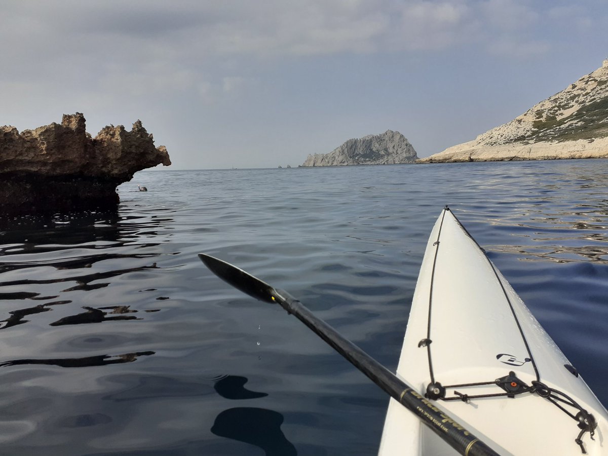 Sortons dans notre @ParcCalanques sans voiture ! Aujourd'hui: 🚲 jusqu'à la Pointe Rouge puis tour des Iles Jarre et Maire en kayak.  Plaisir de la glisse sur une mer d'huile et accompagné un temps par des dauphins 😇
#ecoathlete