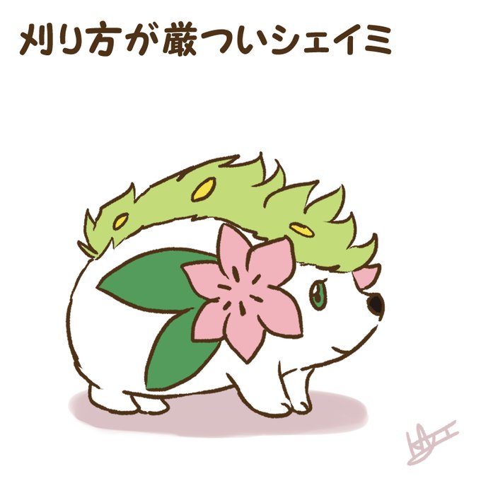 Twoucan シェイミ の注目ツイート イラスト マンガ コスプレ モデル Twoucan シェイミ の注目ツイート イラスト マンガ コスプレ モデル