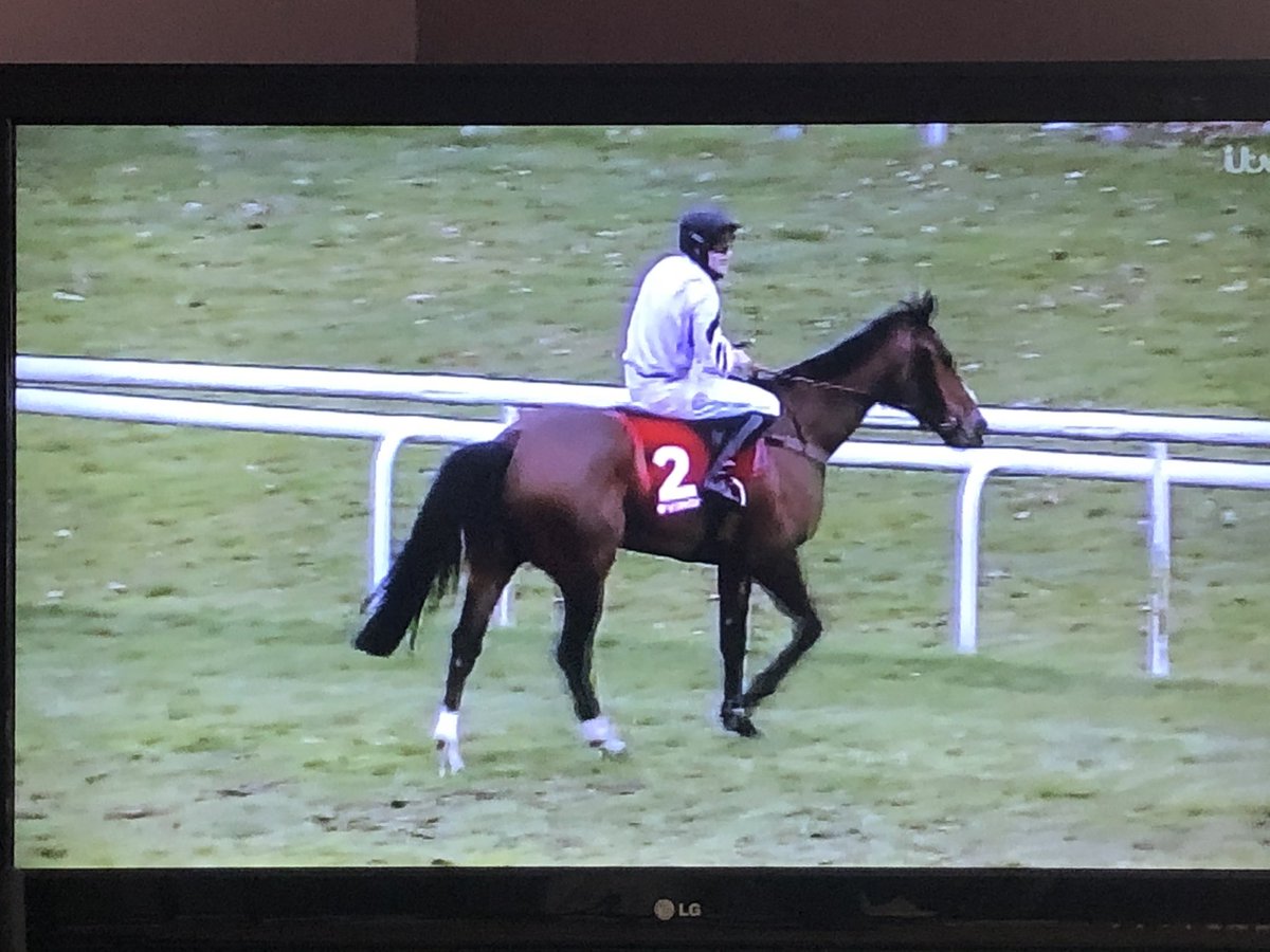 Elite Owners Group Fan Club tweet media