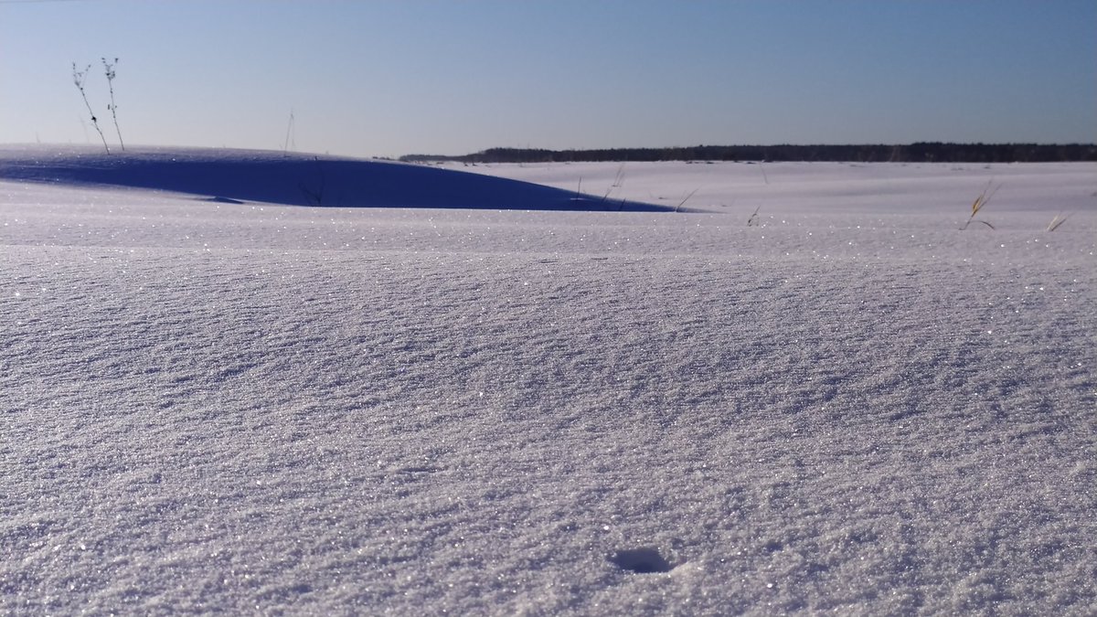 EsterDrainer's tweet photo. this winter was so beautiful and there was a lot of snow. I was in a high, it's a pity that it ended so quickly https://t.co/qFR6P9lBEX