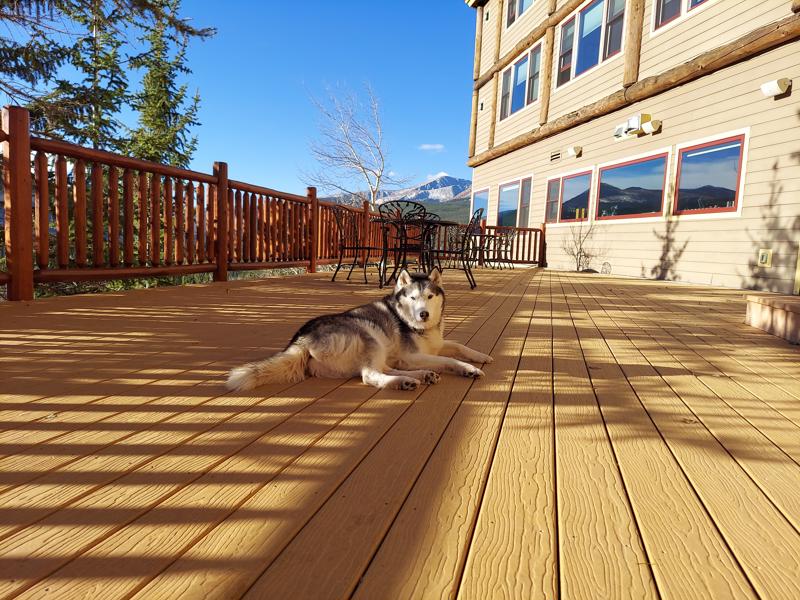 I’m a finalist in The Lodge at Breckenridge’s Story Contest. Help me rally votes: flip.to/r/xvlne <a href="/LodgeatBreck/">The Lodge at Breckenridge</a>