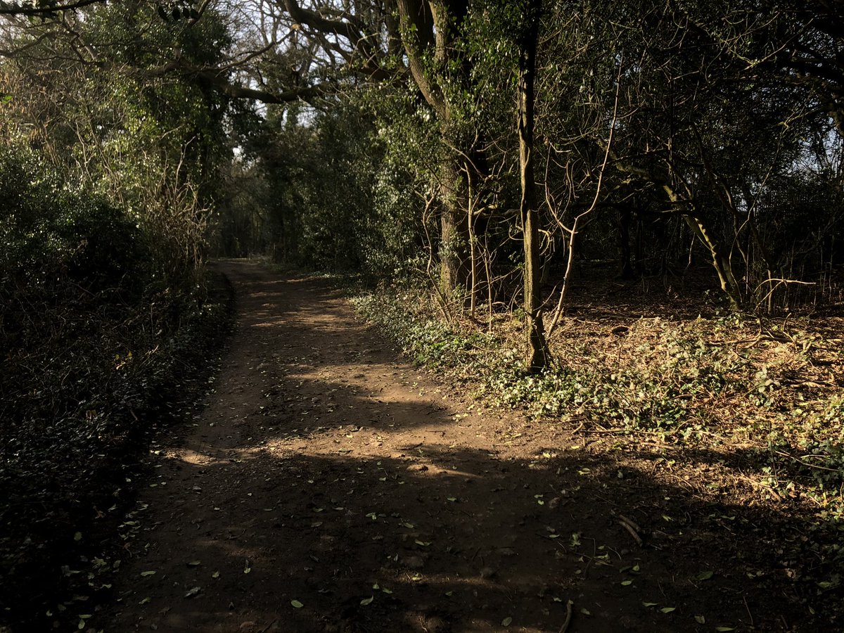 jacksonwendyj's tweet image. Found myself on a part of the old #PilgrimsWay and then today came across this beautiful #PilgrimChurch in #Tatsfield @canpilgrim