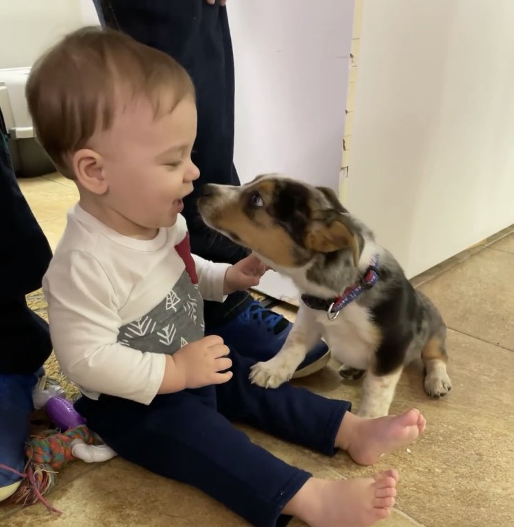 CalebSlinkard's tweet photo. I’m off work until Wednesday, so you get two photos of my nephew CJ today: here he is playing with his favorite toy (a ladle) and meeting a puppy. #BabyCaleb https://t.co/KZzIIBGQjB