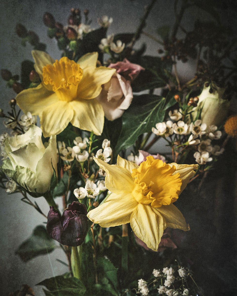 Playing with flowers. Prints available #shopstamford #flowersoftheseason #wallartforsale #ShopSmall