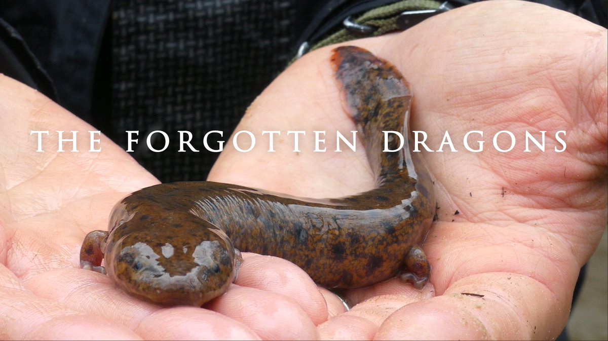 Ben Zino tweet media