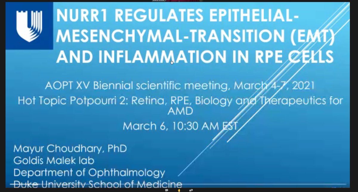 Excellent presentations from not only @MayurCh28066761 in the Hot Topics Session of #AOPT2021, but all the young investigators. #futureleaders #AOPTawardees @dukeeyecenter  @aopt15 #cureblindness #AMDtherapies