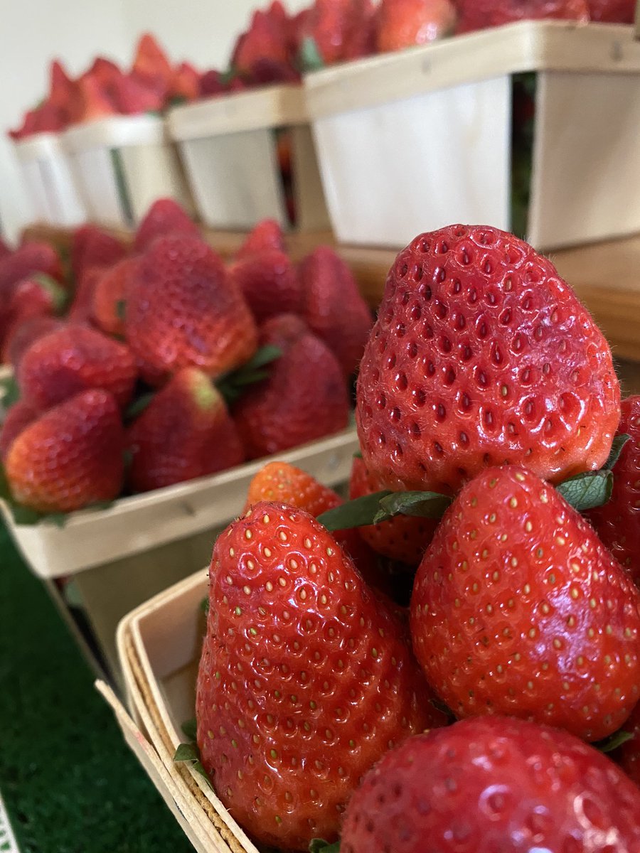 JohnFBachman's tweet image. This place is awesome. #oakesfarms #seedtotable