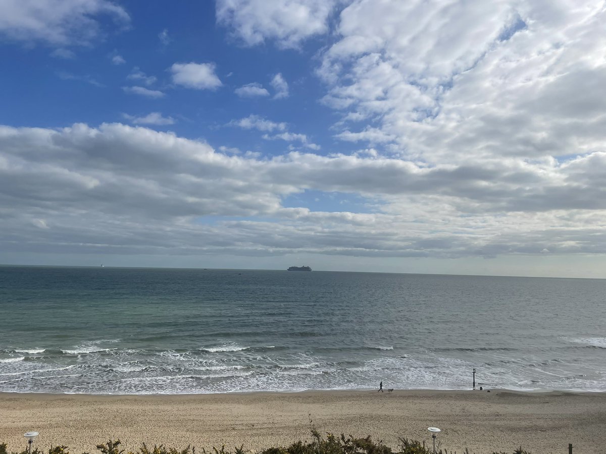 Harbour Ward tweet media