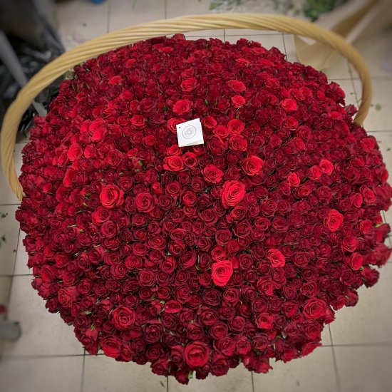 Миллион роз купить. Миллион роз. 10000 Роз. Миллион роз букет. Миллион красных роз.