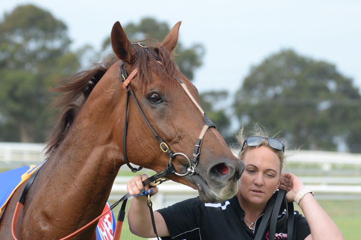 Racing Victoria tweet media