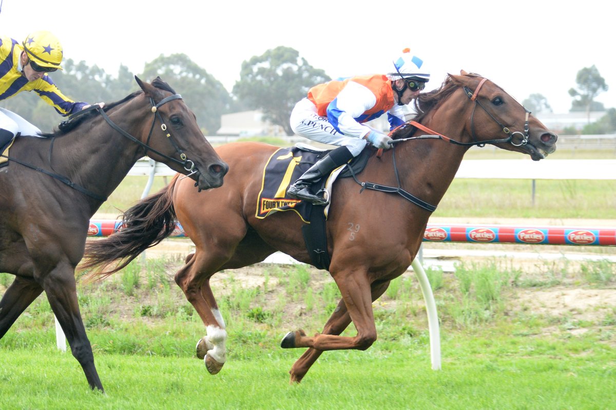 Racing Victoria tweet media